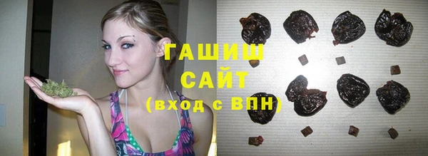 сатива Волоколамск
