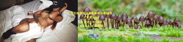 спайс Волосово