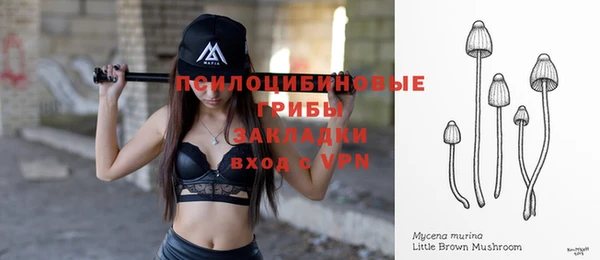 сатива Волоколамск