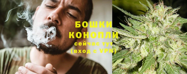 сатива Волоколамск