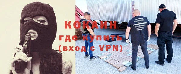 сатива Волоколамск