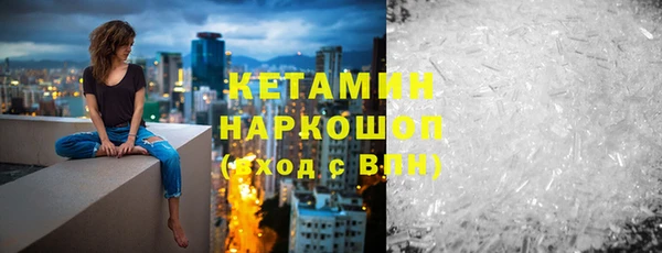 сатива Волоколамск